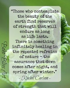 a quote from rachel carlson about the beauty of nature and its significance in life,