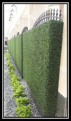 a large green hedge next to a black iron fence