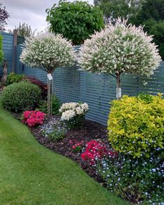 the garden is full of colorful flowers and trees in it's flowerbeds