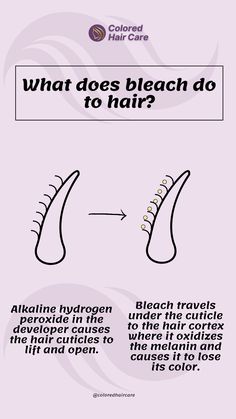 Curious about how bleach works on your hair? 🌟 Learn what happens during the process and how to keep your hair healthy post-bleach. Protect your strands while rocking your perfect color!
#BleachedHair #HairCareTips #ColoredHairCare Bleaching Your Hair, How To Lighten Hair, Bleached Hair, Hair Care Tips, Healthy Hair, Bleach, Hair Care, Hair, Color