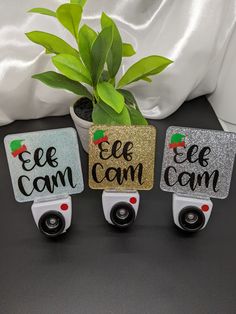 three magnets with the words eee can and an apple on them sitting next to a potted plant