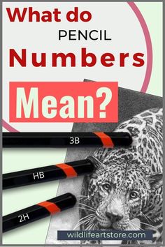 what do pencil numbers mean. What Pencil To Use For Sketching, Pencil Numbers, Pentel Mechanical Pencils, Pencil Grades, Drawing Basics, Beginners Drawing, Art Tutor, Number Drawing, 2b Pencil