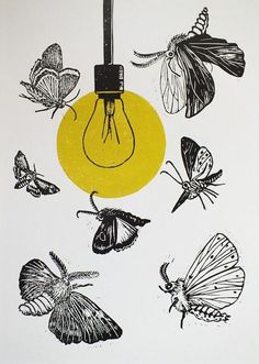 an image of a light bulb surrounded by butterflies