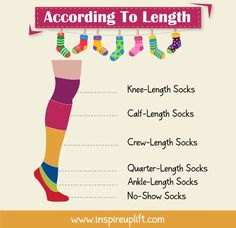 14 Types of Socks (Sorted By Lengths, Function & Fabric) Socks Types, Types Of Socks, Sew Tutorials, Socks Ideas, Fashion Terminology, Loafers With Socks, Loud Laugh, Woolen Socks, Golf Socks