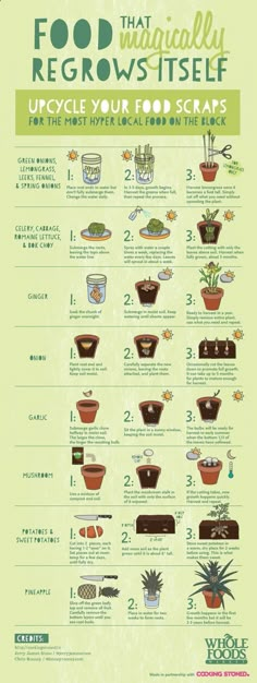 a poster showing the different types of plants and how to use them for gardening tips