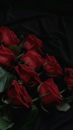 Red And Black Flowers Aesthetic, Red Rose Flower Aesthetic Wallpaper, Dark Rose Aesthetic Wallpaper, Red Flowers Aesthetic Wallpaper, Dark Red Roses Wallpaper, Dark Red Roses Aesthetic, Dark Roses Wallpaper, Dark Rose Aesthetic, Dark Red Wallpaper Aesthetic