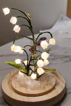 a small plant with white flowers on top of a wooden stand filled with ice crystals