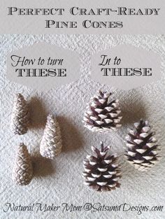 pine cones are shown with the words perfect craft - ready pine cones how to turn these