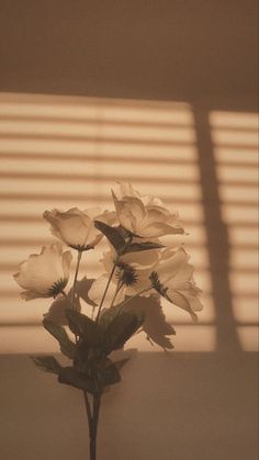 a vase filled with white flowers sitting on top of a table next to a window