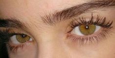 Hazel Green Eyes, Beautiful Eyes Color, Hazel Green, Amber Eyes, Eye Photography, Gorgeous Eyes, Hazel Eyes