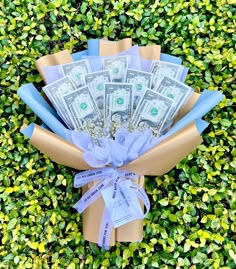 a bunch of money wrapped in brown paper and tied with blue ribbon on top of some green bushes