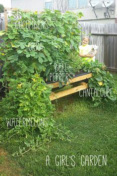 a child sitting on a wooden bench in the middle of a garden with plants growing out of it