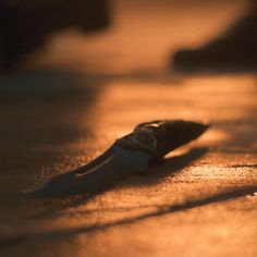 a close up of a toothbrush on the ground with light reflecting off it's surface