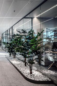 an office with glass walls and plants in the middle