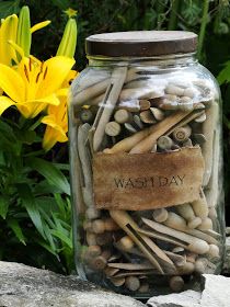 a jar filled with lots of different types of wood