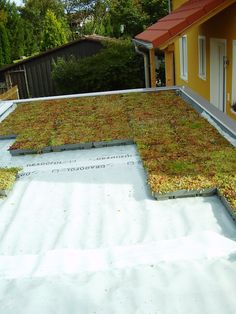 Green Roof sedum tray - pre planted option - Freeflush Rainwater Harvesting Ltd. Green Roof Architecture, Sedum Varieties, Earth Roof, Roof Landscape, Green Roof House