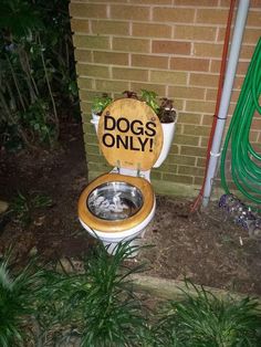 a toilet with a wooden seat and the words dogs only written on it in front of a brick wall