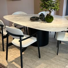 a table with chairs and a potted plant on it in a living room area