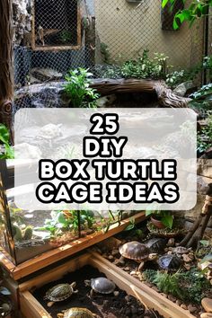 the 25 diy box turtle cage ideas