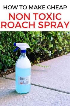 a bottle of disinfectant spray sitting on the sidewalk with text overlay how to make cheap non - toxic roach spray