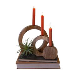 three candles are placed on top of a book with an air plant in it and two rocks