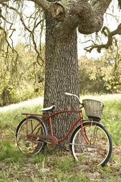 an old red bicycle is parked next to a tree in the grass and has a basket on it