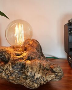 a light bulb sitting on top of a piece of driftwood next to an old radio