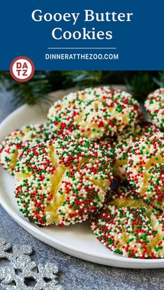 christmas cookies with sprinkles on a white plate