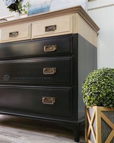 a black dresser with two drawers and some plants in it next to a potted plant