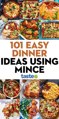 the cover of 101 easy dinner ideas using mince by tasty, with images of different