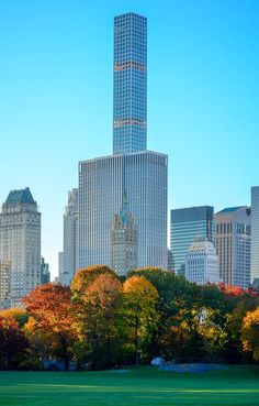 a city skyline with skyscrapers and trees in the foreground on a sunny day