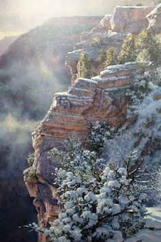 a painting of snow covered trees on the edge of a cliff