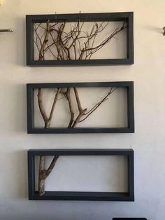 three frames with branches in them hanging on the wall