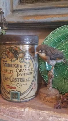 there is a bird sitting on the edge of a shelf next to some jars and plates