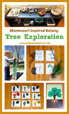 the montessori inspired rotaryy tree experiment