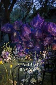 an advertisement for stardust bazaar featuring purple umbrellas in the middle of a garden