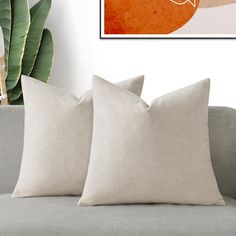 two pillows sitting on top of a couch next to a plant