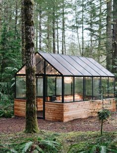 a small wooden cabin in the woods surrounded by tall trees and greenery with a glass roof