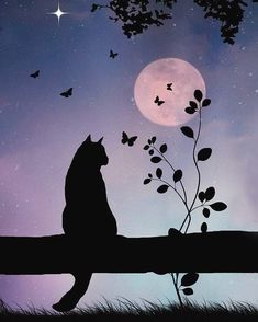 a cat sitting on top of a tree branch in front of a moon filled sky