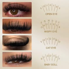 Different lash styles, which one do u prefer? Lashes Styles, Eyelash Tech, Lash Ideas, Lash Maps, Lash Map, Lashes Tutorial, Lashes Fake Eyelashes, Weddings Dresses, Eyelash Tips