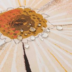 drops of water are falling from the top of an open umbrella with sunbursts in the background