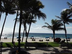 the beach is lined with palm trees and lawn chairs