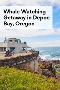 people are standing on the edge of a cliff by the ocean with text overlay that reads whale watching getaway in depe bay, oregon