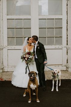 the bride and groom are posing with their dogs