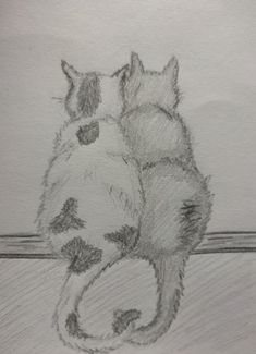 pencil drawing of two cats hugging each other