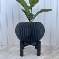 a black vase with a plant in it