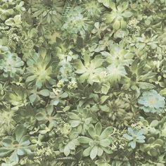 a close up view of green leaves and flowers on a wallpaper background that looks like it has been painted with acrylic paint