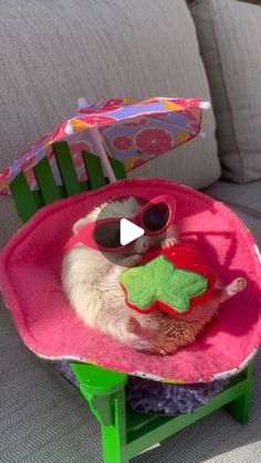 a hamster wearing sunglasses is sitting in a pink chair with an umbrella on it