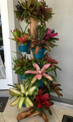 there are many different types of plants in the potted planter on this stand