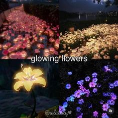 several different types of flower lights in the night and on the ground, along with one another